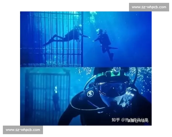 从恐惧到深蓝:她征服深海,成为自由潜水员 从恐惧到深蓝:她征服深海,成为自由潜水员