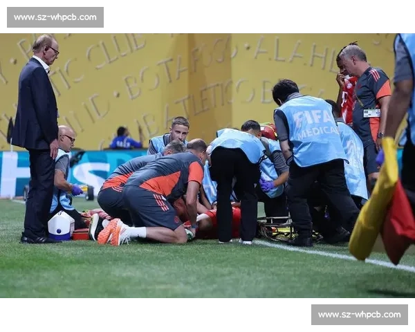 李明携子观战世俱杯：从单车少年到青训引路人的足球传承