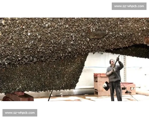 深海作业直击！第一视角体验船舶藤壶清理的硬核挑战